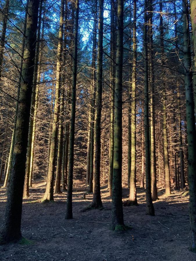 Sandve Dış mekan fotoğraf